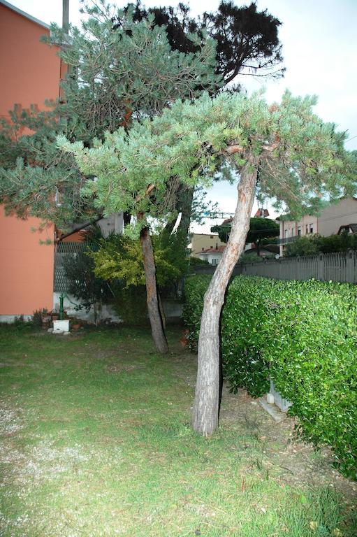 Villa Linda Affittacamere Bellaria-Igea Marina Eksteriør bilde